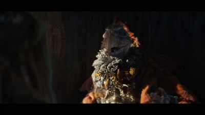 I am only reason Gelfling still alive. - The Dark Crystal: Age of Resistance