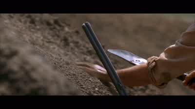 I am pleased with my efforts thus far. - Dances with Wolves
