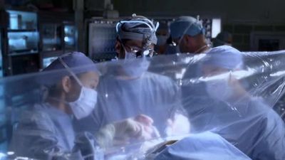 I am retracting the right hemisphere,
what do we want to avoid? Grey? - Grey's Anatomy