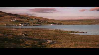 I am
sick of haddock. - Billy & Molly: An Otter Love Story