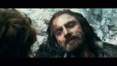 I am so sorryThat I have led you into such perilNo I'm glad to have shared in your perils ThorinEach and every one of themIt is far more than any Baggins deserves - The Hobbit: The Battle of the Five Armies