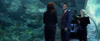I am so sorry.
Where was I? - Aquarium of the Dead
