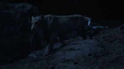 I am sworn to protect you and
must order you back to bed. - The Lion King