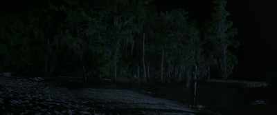 I am the marsh now. - Where the Crawdads Sing