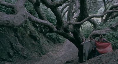 I am thinking of the piano - The Piano
