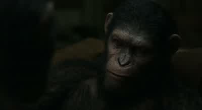 I... am to blame. - Dawn of the Planet of the Apes