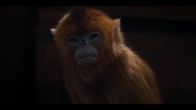 I am so very sorry. - His Dark Materials