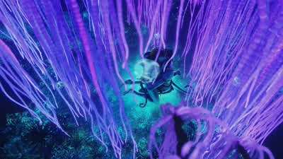 I am with you now, Jake. - Avatar