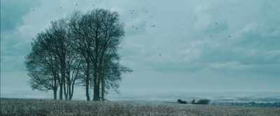 I was an orphan. - My Cousin Rachel