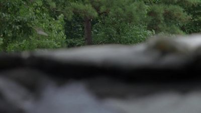 ANNOUNCER: Previously, on
AMC's "The Walking Dead." - The Walking Dead
