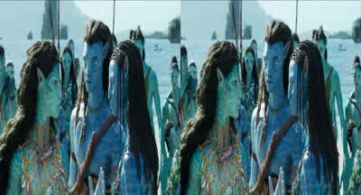 I apologize for my mate. - Avatar: The Way of Water