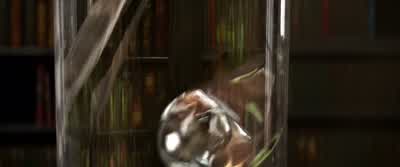 I appreciate how difficult this is for you, Beans. - Rango