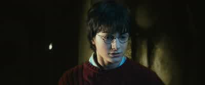 Arania Exumai! - Harry Potter and the Chamber of Secrets