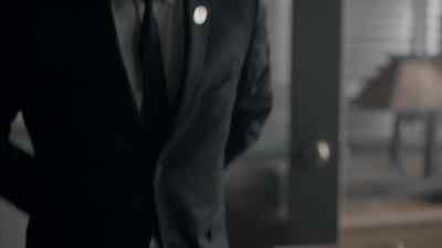 I arrested a young vandal. - The Man in the High Castle