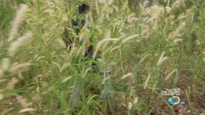 As you head to the floodplain, - Man vs. Wild