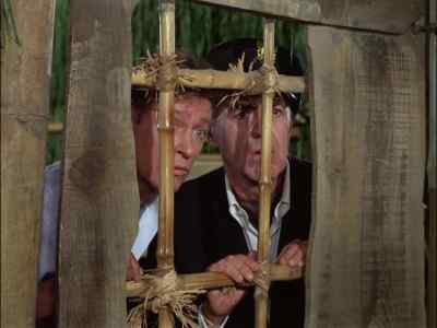 I ASK YOU,
IS THAT PECULIAR - Gilligan's Island