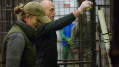 'I was asked to feed it constantly
to distract it - Britain's Tiger Kings - On the Trail with Ross Kemp