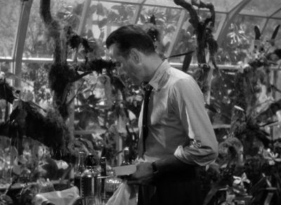 I assume they have all the usual vices - The Big Sleep