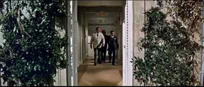 I assure you she's not in the house. - A Shot in the Dark