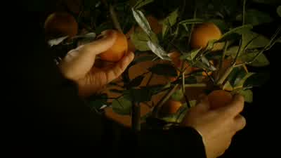 I assure you, they're quite real. - The Illusionist