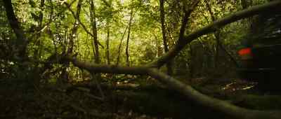 'At your first opportunity, turn around. ' - Eden Lake