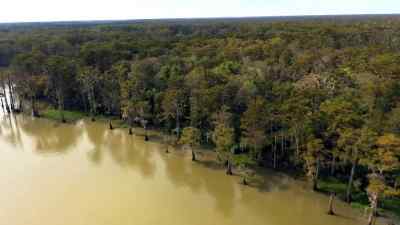       Back in bayou chene... - Swamp People