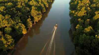 Back in Bayou Sorrel, - Swamp People
