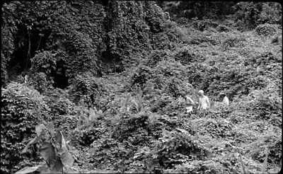 I became one with the island, - The Wild Boys