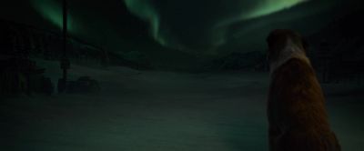 Because I know
that as I am, - The Call of the Wild
