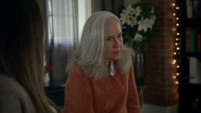 - I had been taking
the figurines, - It’s Beginning to Look a Lot Like Murder