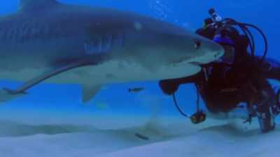 I believe the best thing
that I can do for conservation - Why on Earth