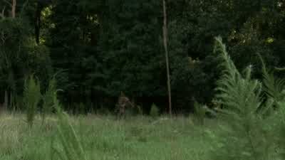I bet I can nail it from here. - The Walking Dead