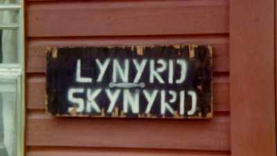 i-bet-still-catch-fish-down-here-easy - If I Leave Here Tomorrow: A Film About Lynyrd Skynyrd