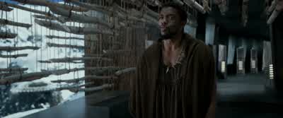 I bet you could. - Black Panther