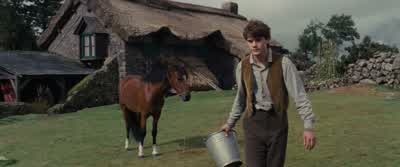 I bet you’re missing your mother. - War Horse