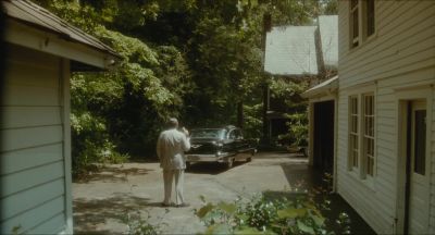 Good luck - Driving Miss Daisy