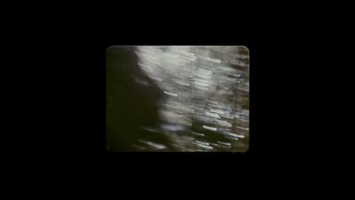 [birds calling] - No One Gets Out Alive