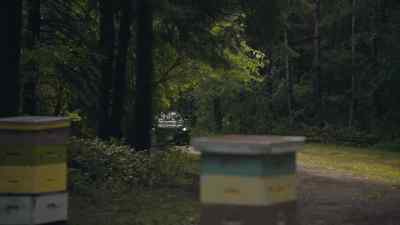[BIRDS CHIRP] - Coroner