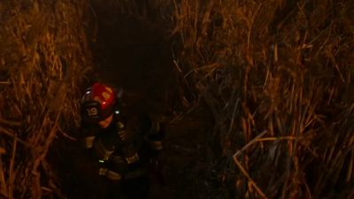 Bishop, repeat,
you are on triage. - Station 19