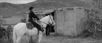 I was bitten by a rattler in there when I was 15. - Forty Guns
