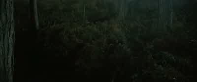 HAGRID: Bonsoir, Olympe. - Harry Potter and the Goblet of Fire