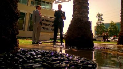 I was born to be a cop. - CSI: Miami