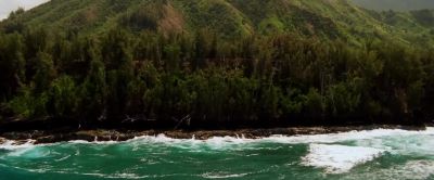 I was born to surf - Soul Surfer