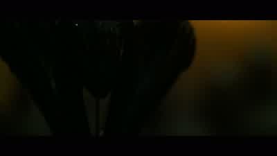 I borrowed a ship. - The Chronicles of Riddick