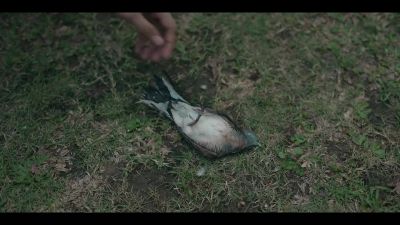 Oh, no. - Mr. Midnight: Bacha na příšery