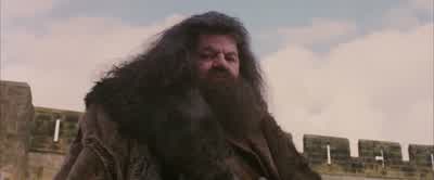 I bought him off an Irishman.I lent him to Dumbledore to guard... - Harry Potter and the Philosopher's Stone