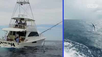 I branched off
into filming yachts, - I Was a Teenage Felon