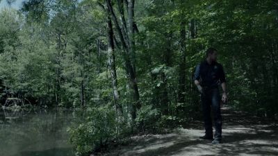 [branches snap] - Banshee