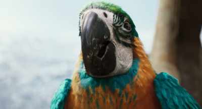 I brought you Lily
just when you needed her, - Dolittle