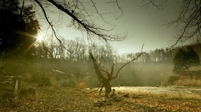 But when she awoke, - Hemlock Grove